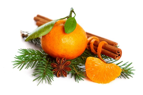 Tangerine and cinnamon lie on a branch of a fir tree