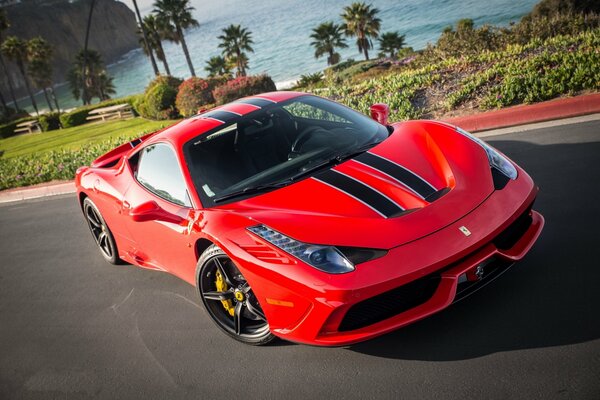 Red Ferrari by the lawn with palm trees