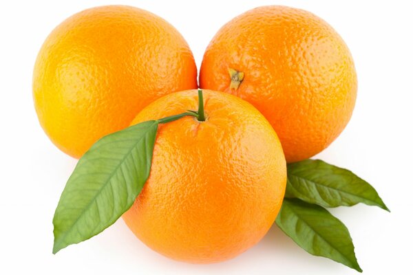 Trzy pomarańcze na białym tle