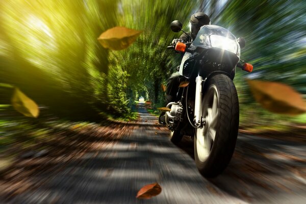 Motociclista en moto corre en medio de la naturaleza