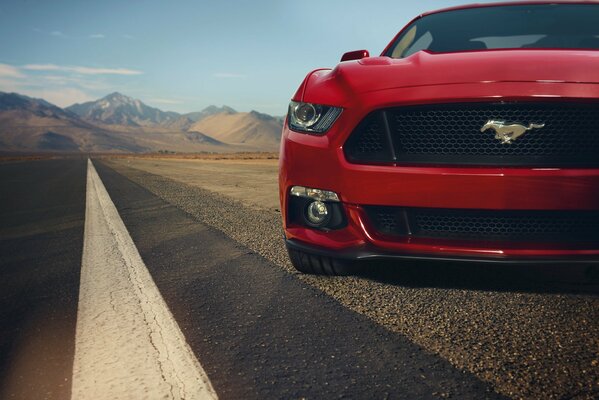 Elegant stylish red mustang