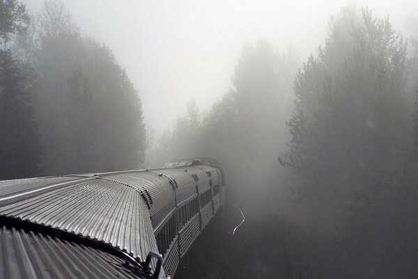 Train partant pour la forêt brumeuse