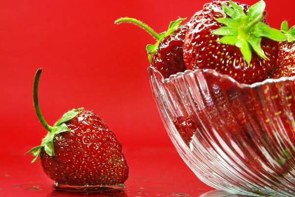 Fresas en un jarrón transparente sobre un fondo rojo