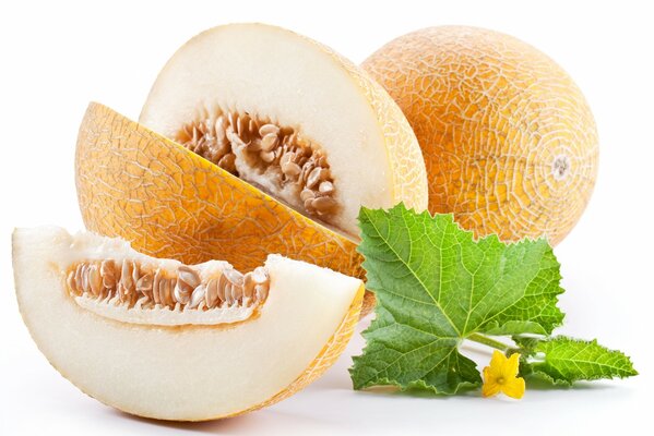 Melon on a white background, melon slices with a leaf