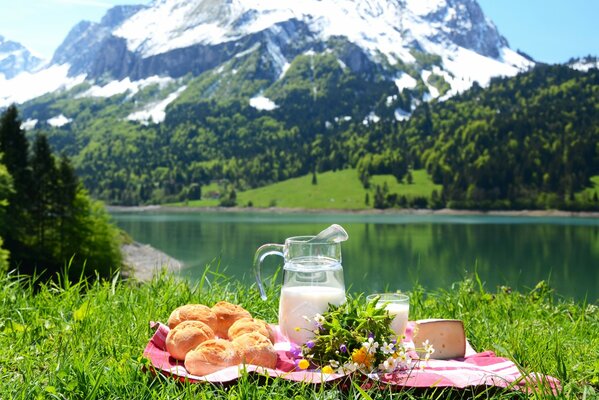 Jarra de leche pan para picnic al aire libre