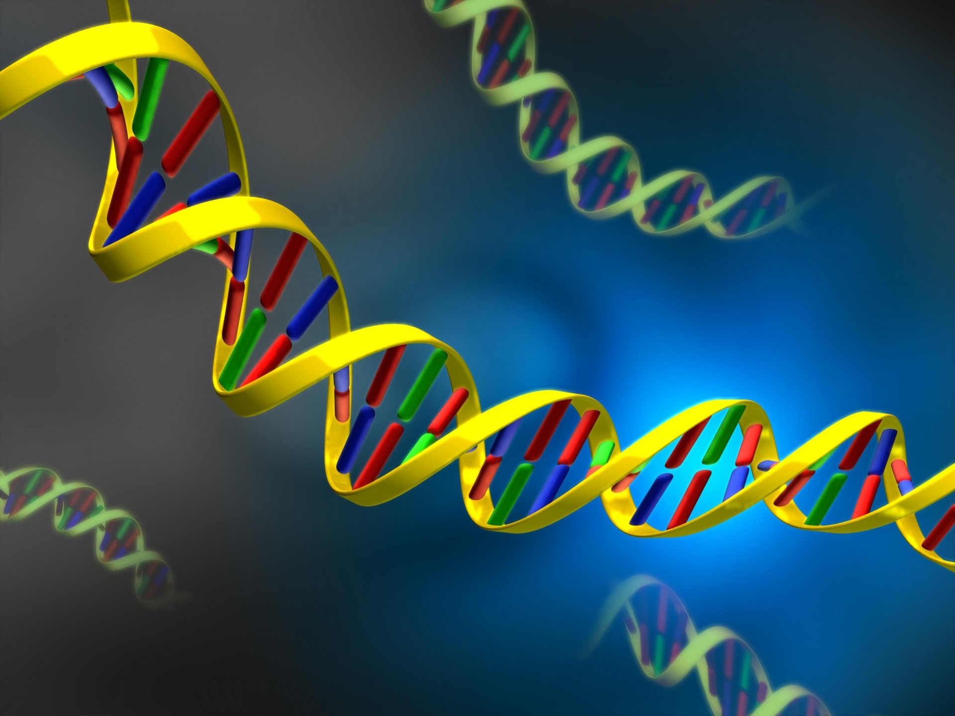 nucleic acid dna