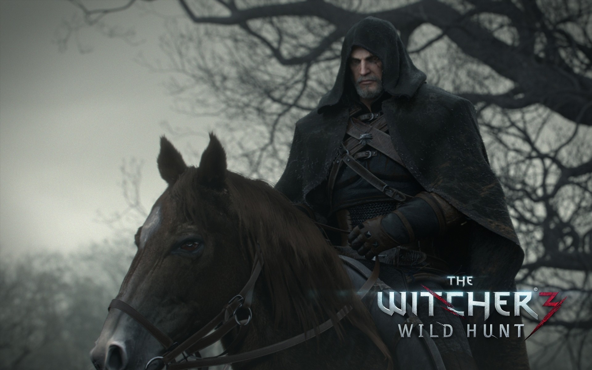 the witcher cd projekt red gioco di ruolo