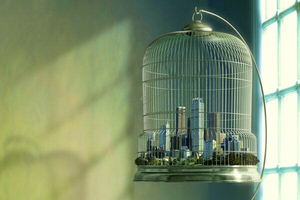 A micro city in a cage looks out the window