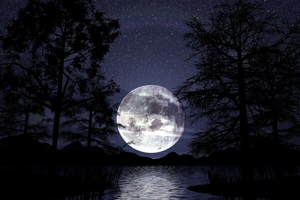 Luna piena nella foresta sopra l acqua