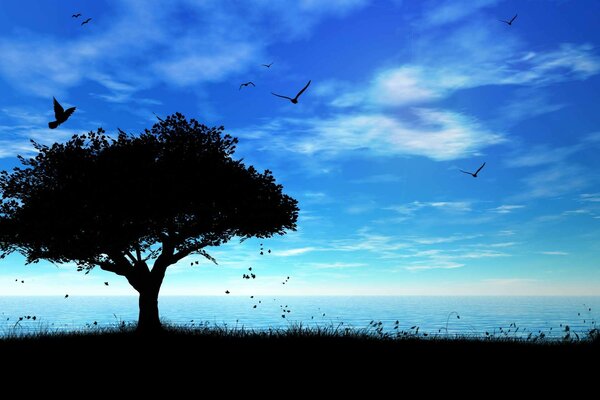 Birds flying over a tree in the shade, at dawn, on the seashore