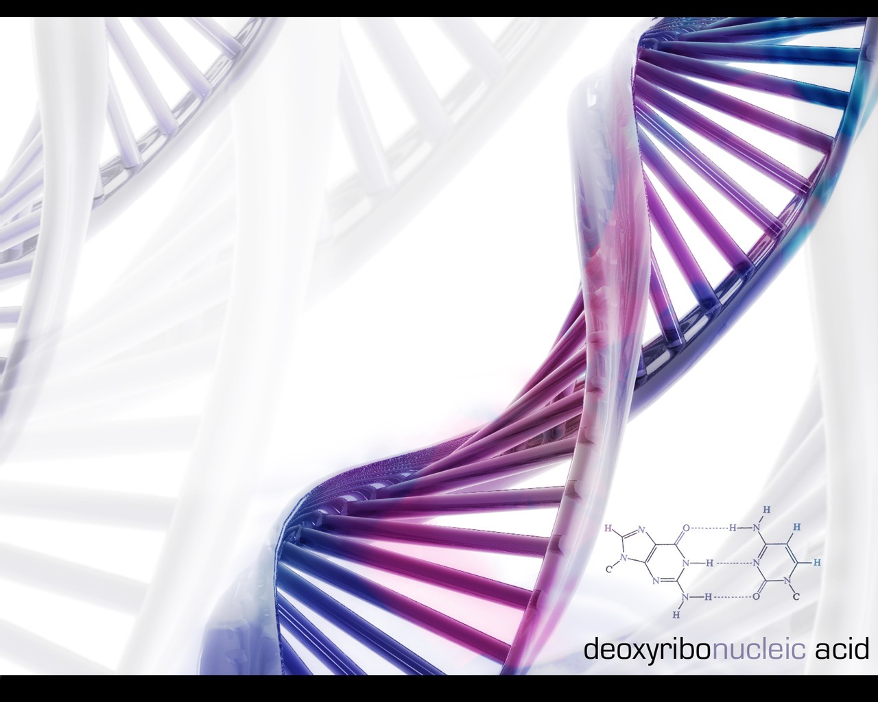 dna formula science