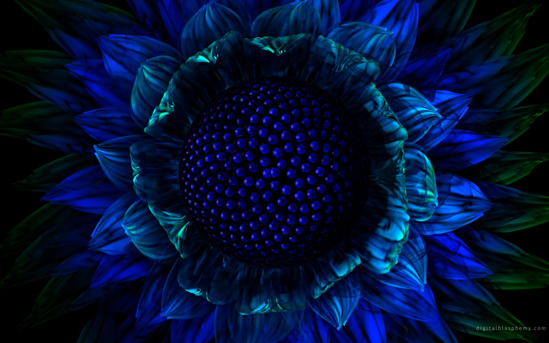 fleur bleu graphique