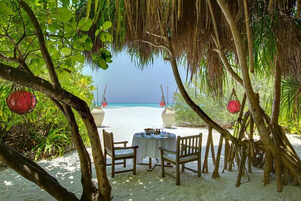 Cozy table among palm trees in the Maldives