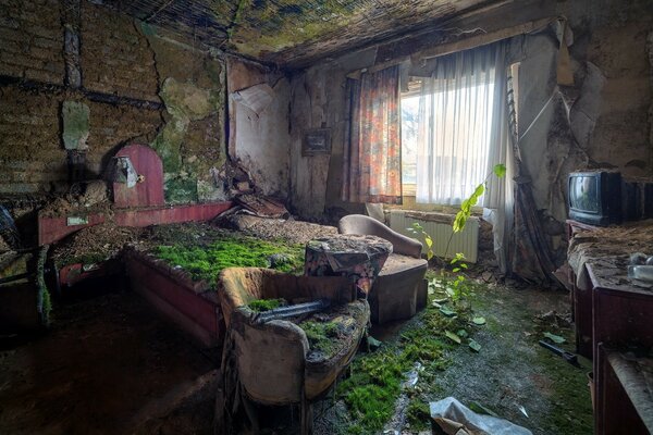 An old room covered with moss