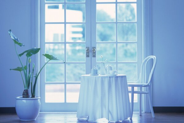 Table avec des appareils à thé et à côté d un pot avec une plante