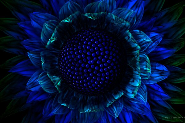 Grafische Darstellung der blauen Blume