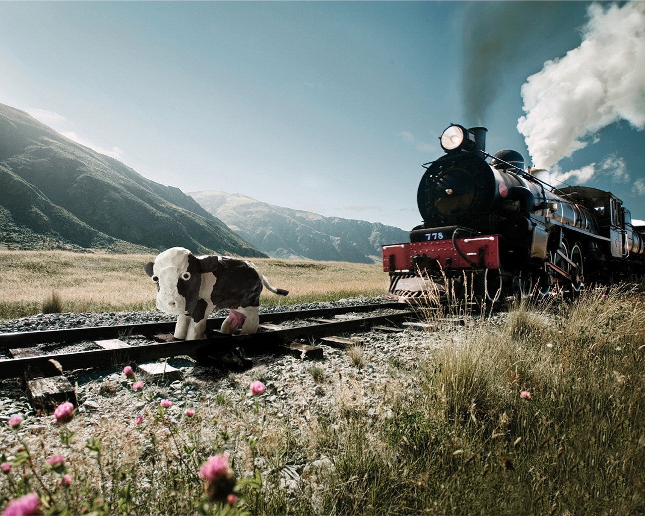 locomotora carretera vaca