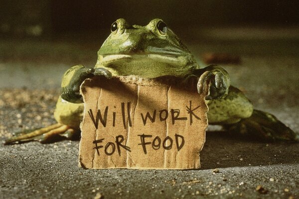 The sign I work for food in the paws of a frog