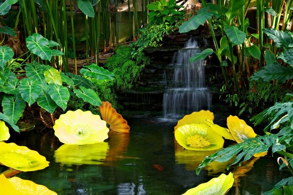 Cascade sous les tropiques. Avec des fleurs jaunes