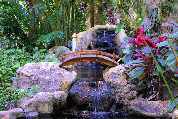 Wasserfall aus Steinen unter Palmen