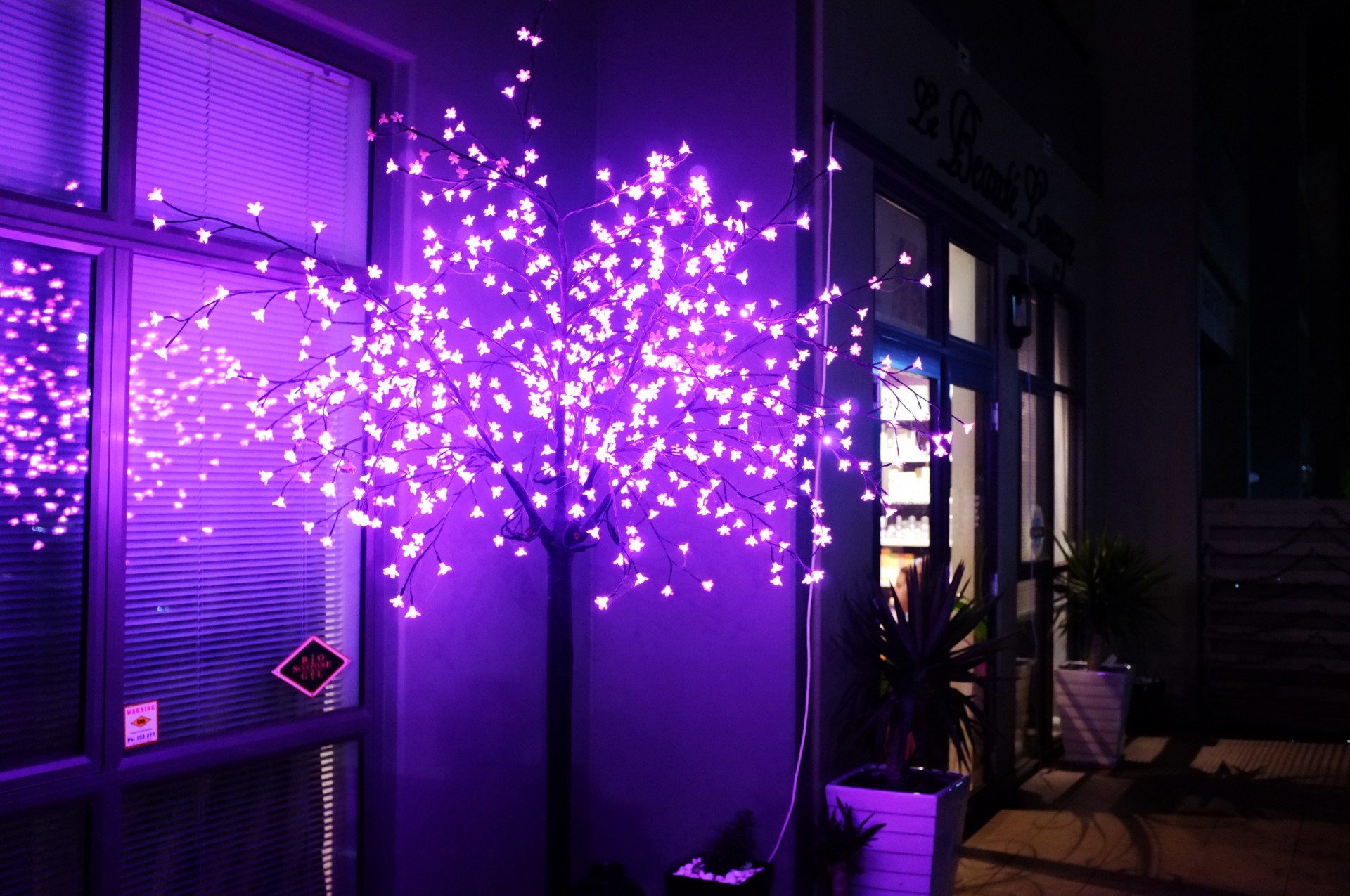 neon albero luce decorazione