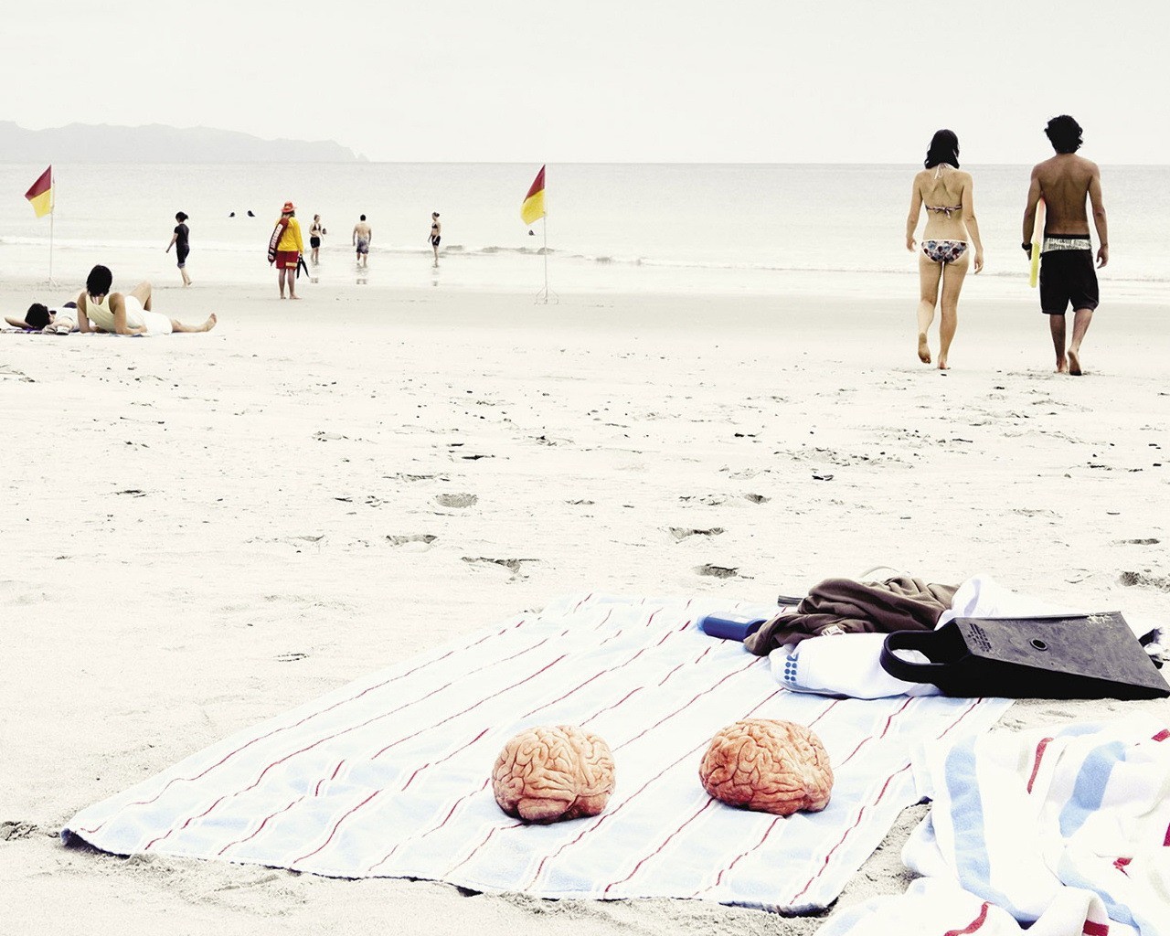 été plage cerveau