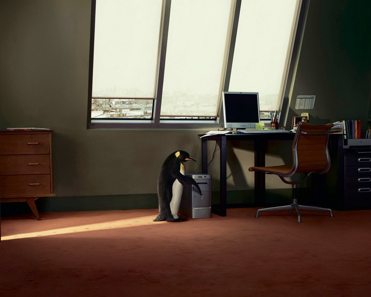 pingüino computadora escritorio ventana