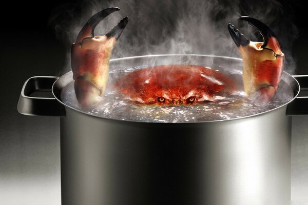 A large crab in a boiling pot