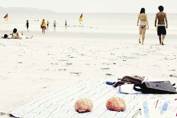 Brains on the beach lie in summer