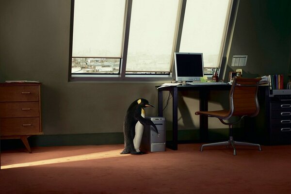 Пингвин рядом с компьютерным столом под окном