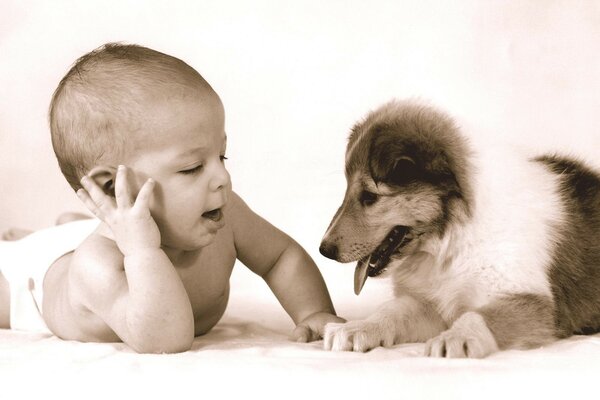 Baby chatta e gioca con il cagnolino