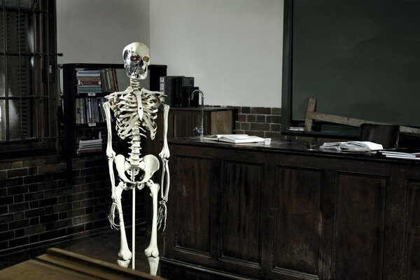 In the school classroom, the skeleton is lonely