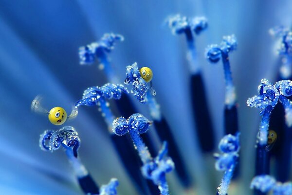 Emotikony siedzą na niebieskich kwiatach