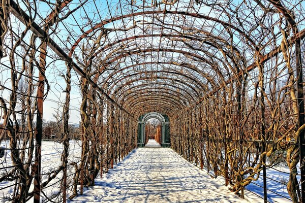 Деревянная арка на снежной улице