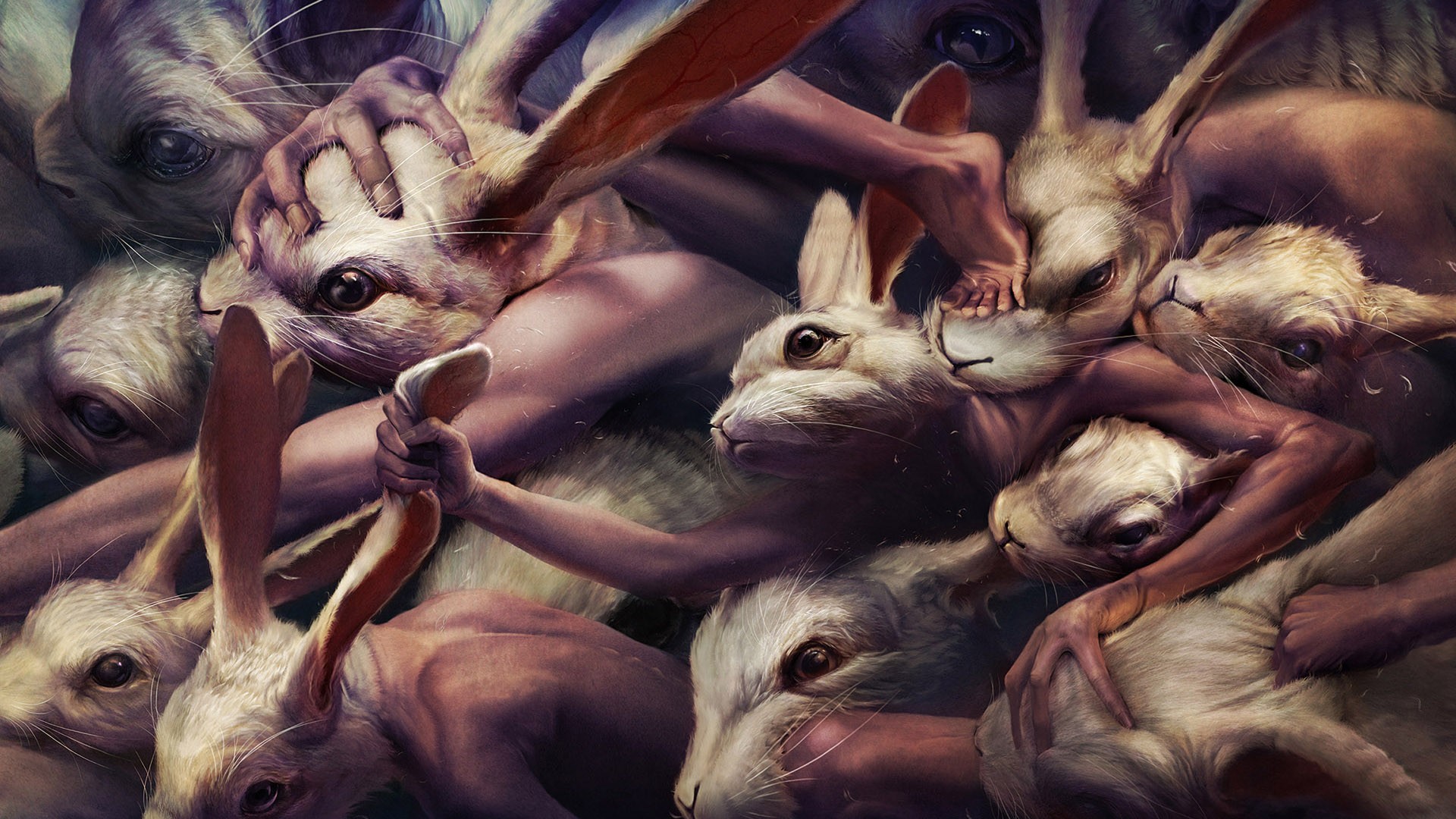 lapins bagarre mutants ryohei hase