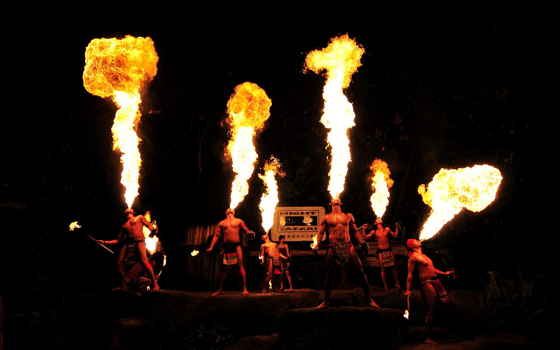 feuer nacht sfari singapur show