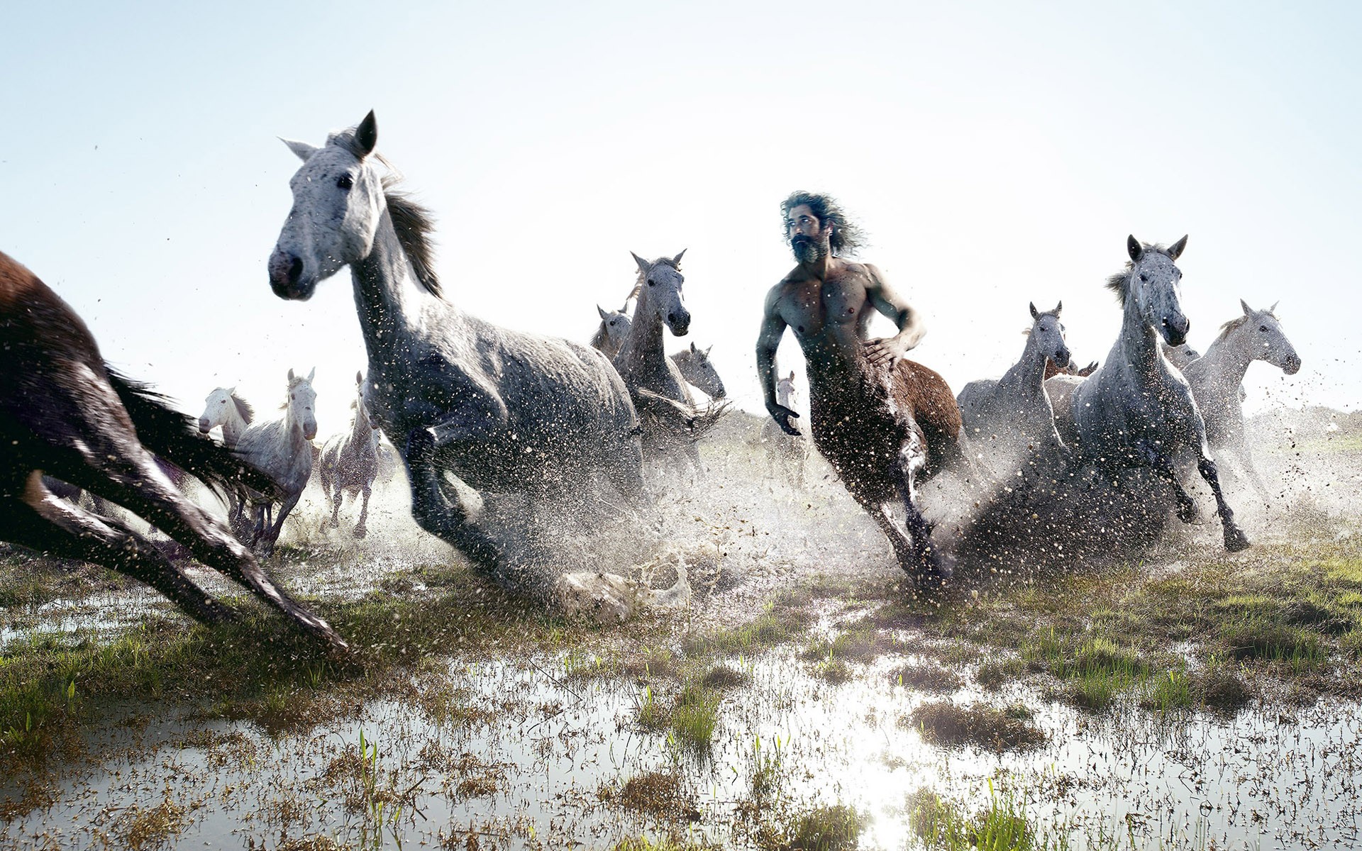 caballos centauro correr