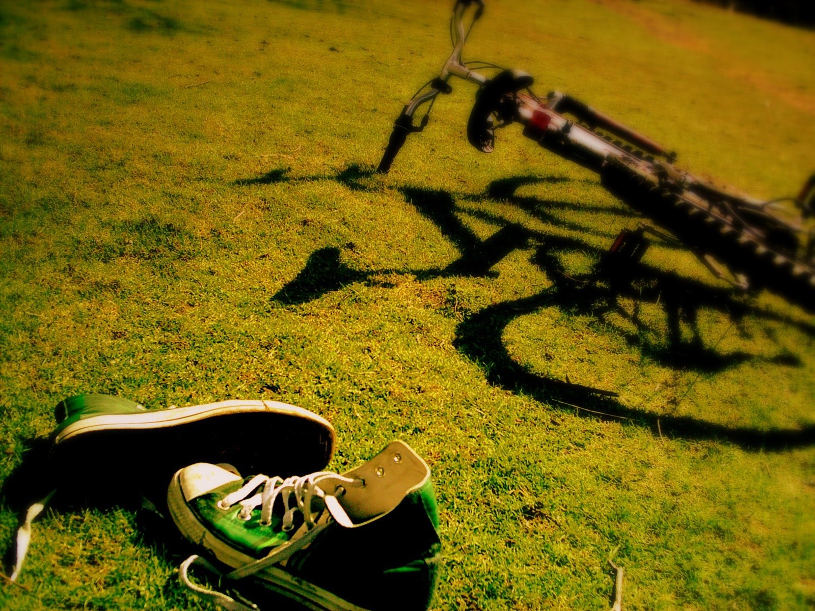 vélo baskets herbe jour lacets été