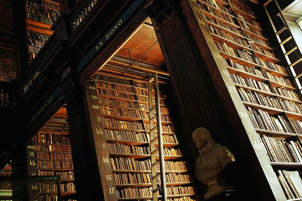 Beaux livres dans une grande et spacieuse bibliothèque