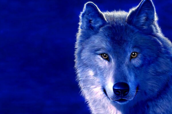 Волк на синем фоне