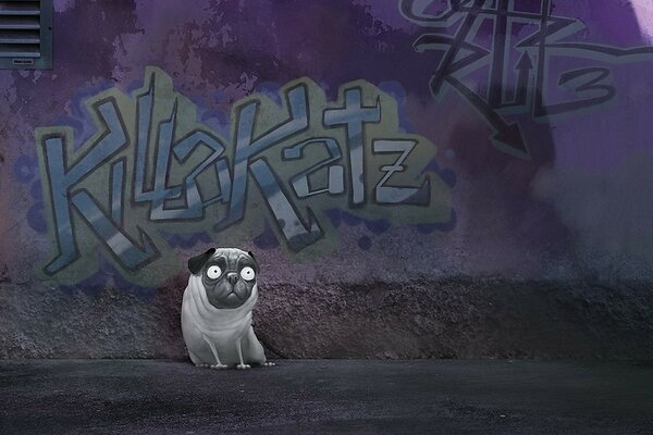 Graffiti sul muro-pug