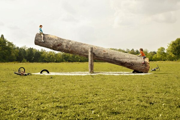 Kids on a stupid wooden swing