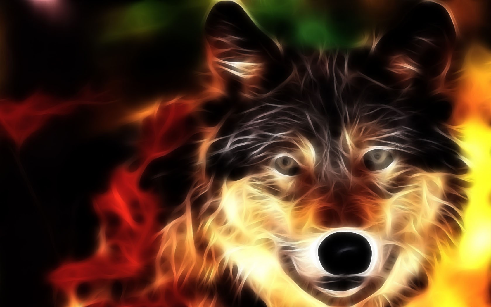 loup feu animaux