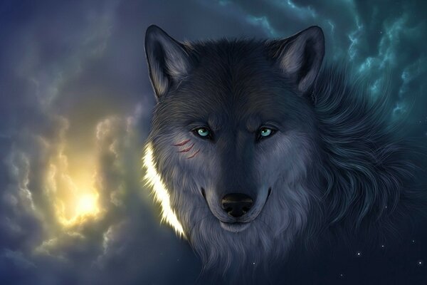 Волк под звёздами и облаками