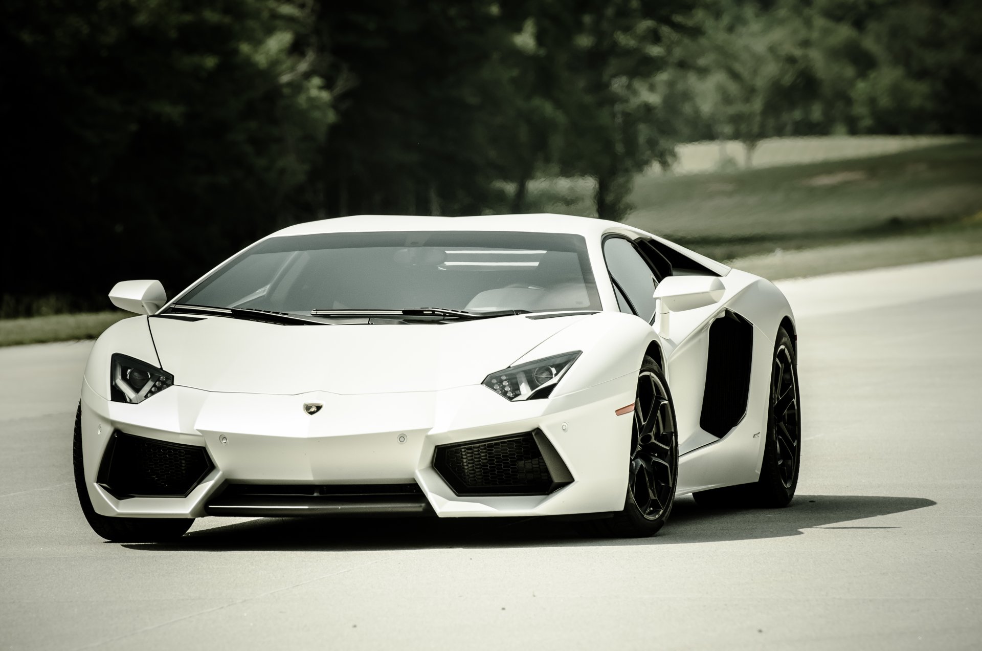 lamborghini aventador lp700-4 weiß lamborghini aventador vorderansicht schatten straße bäume