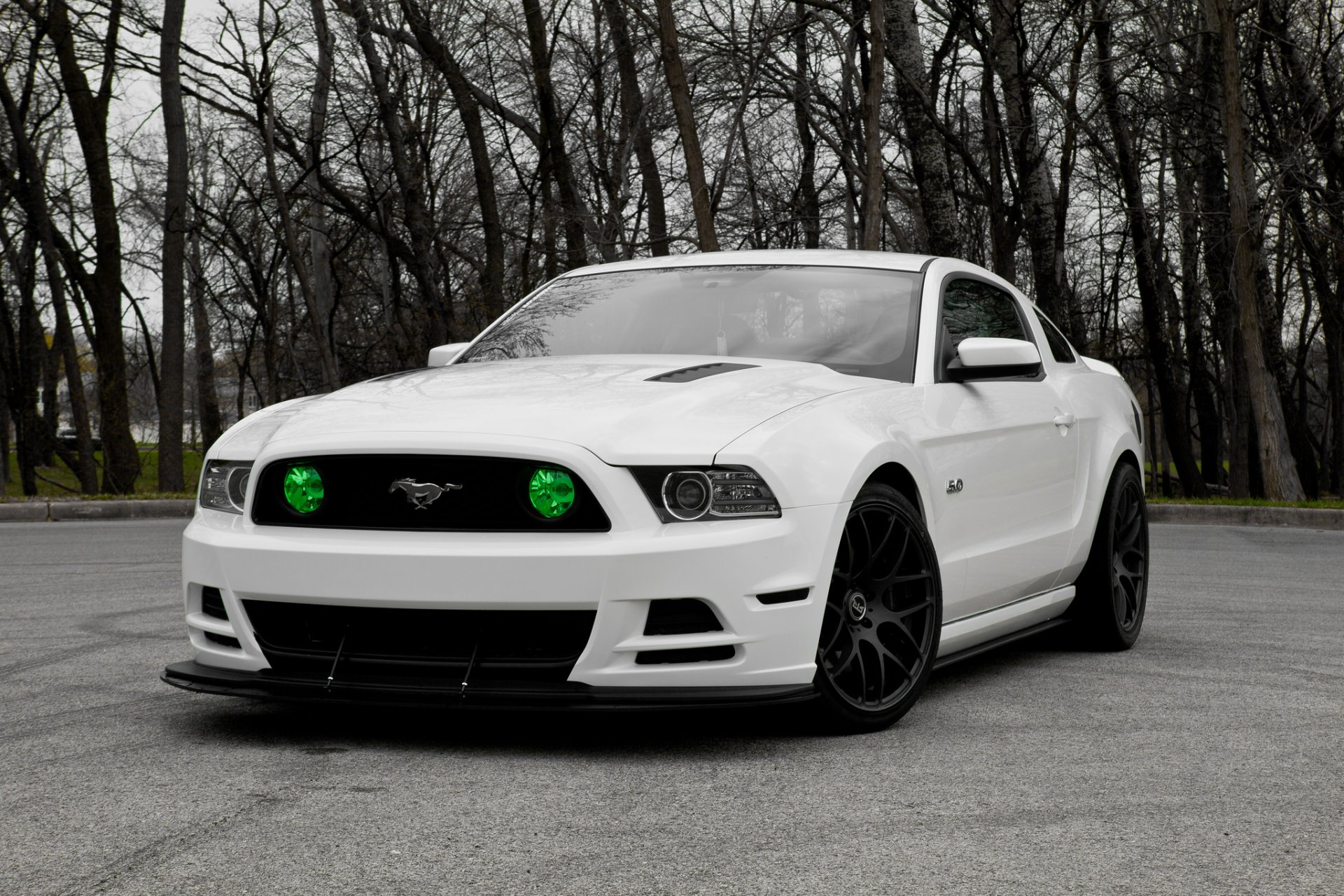 ford mustang gt500 5.0 blanco