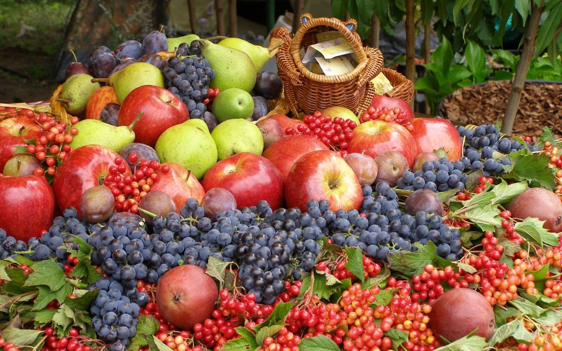 kalina grapes pear apples plum fruits berrie