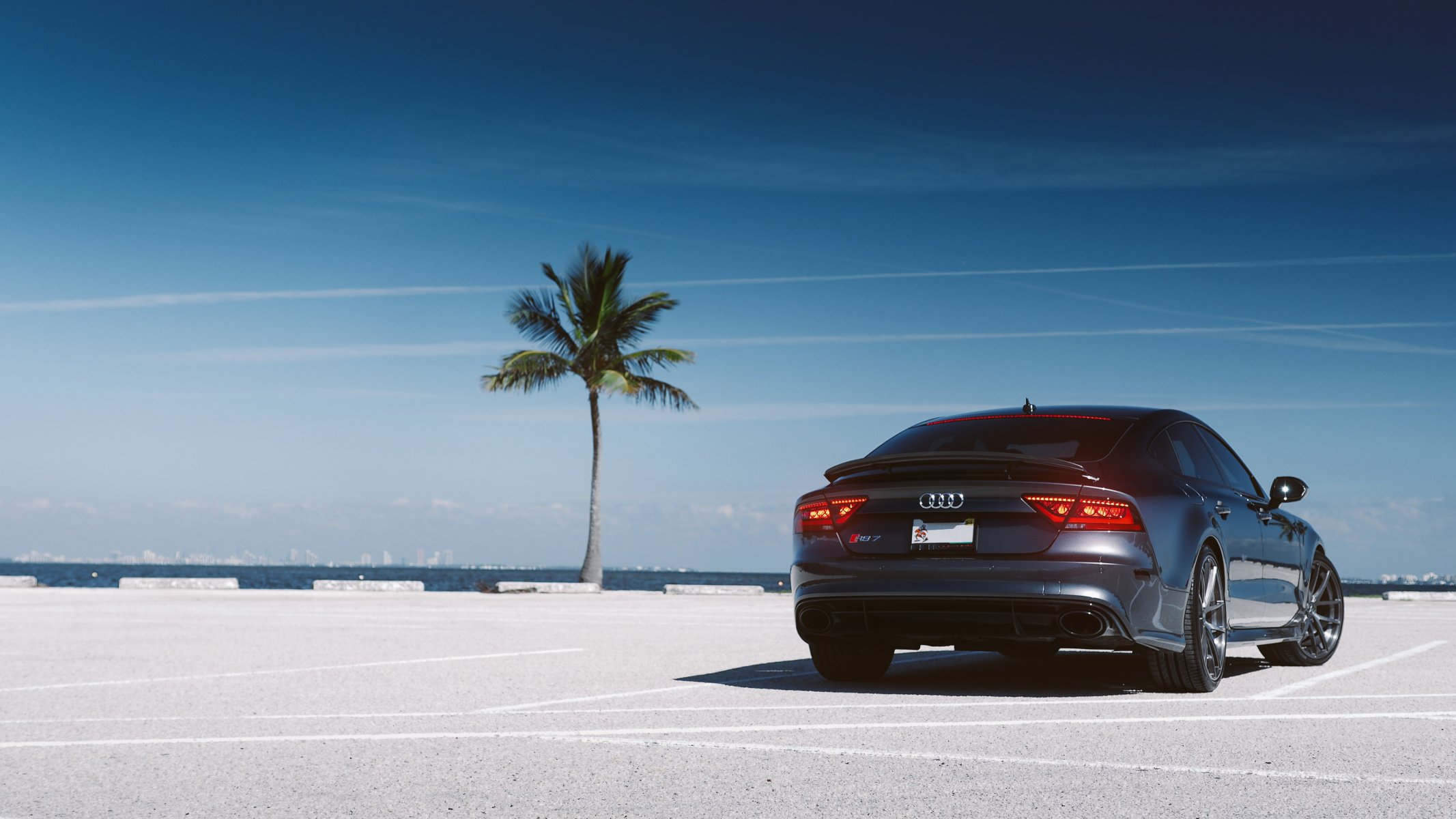 audi rs7 rear parking audi palm tree