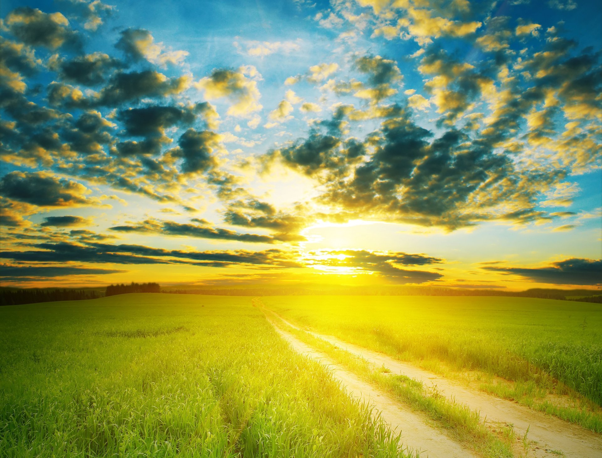 nature summer field road the sky clouds the sun light