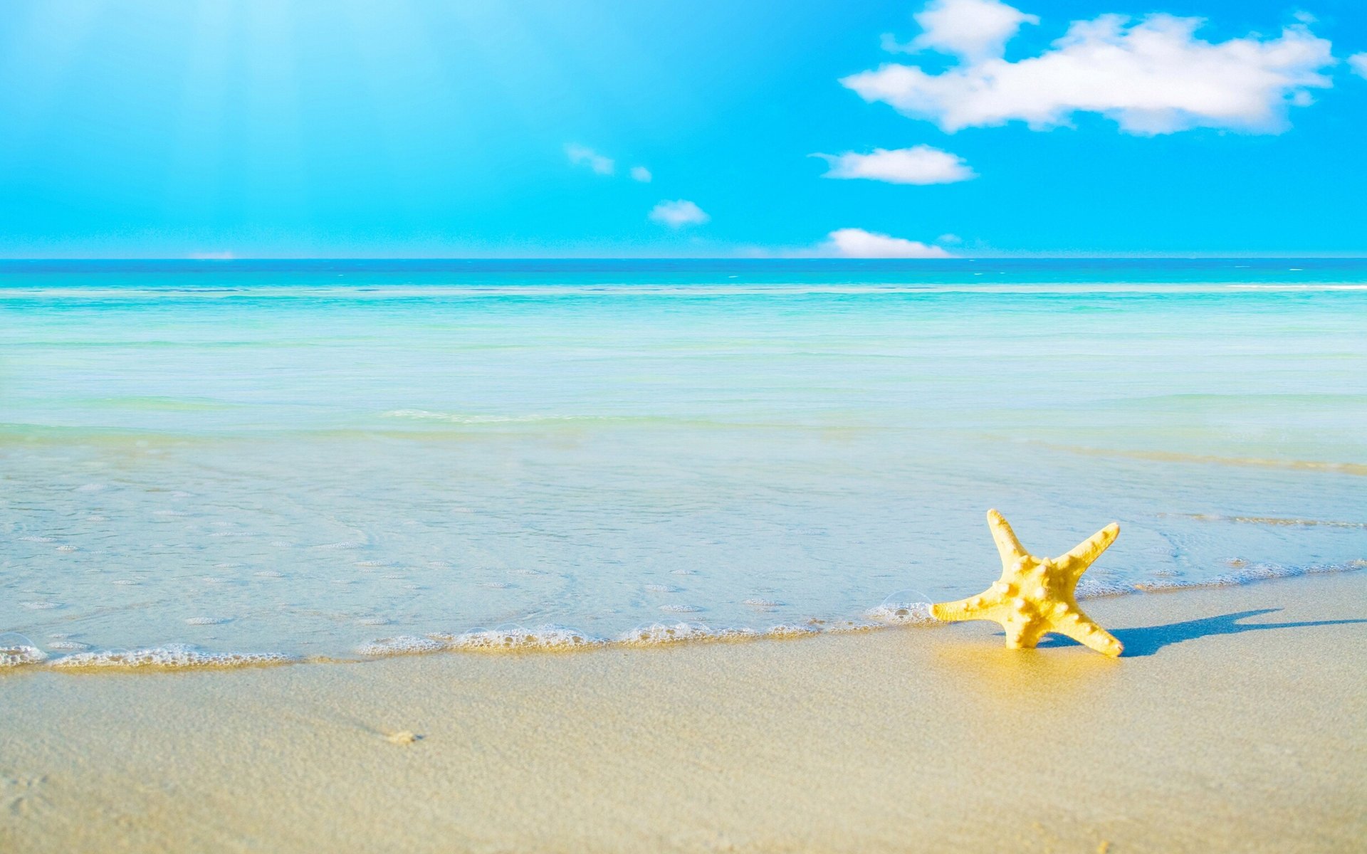 mer plage horizon sable étoile de mer ciel